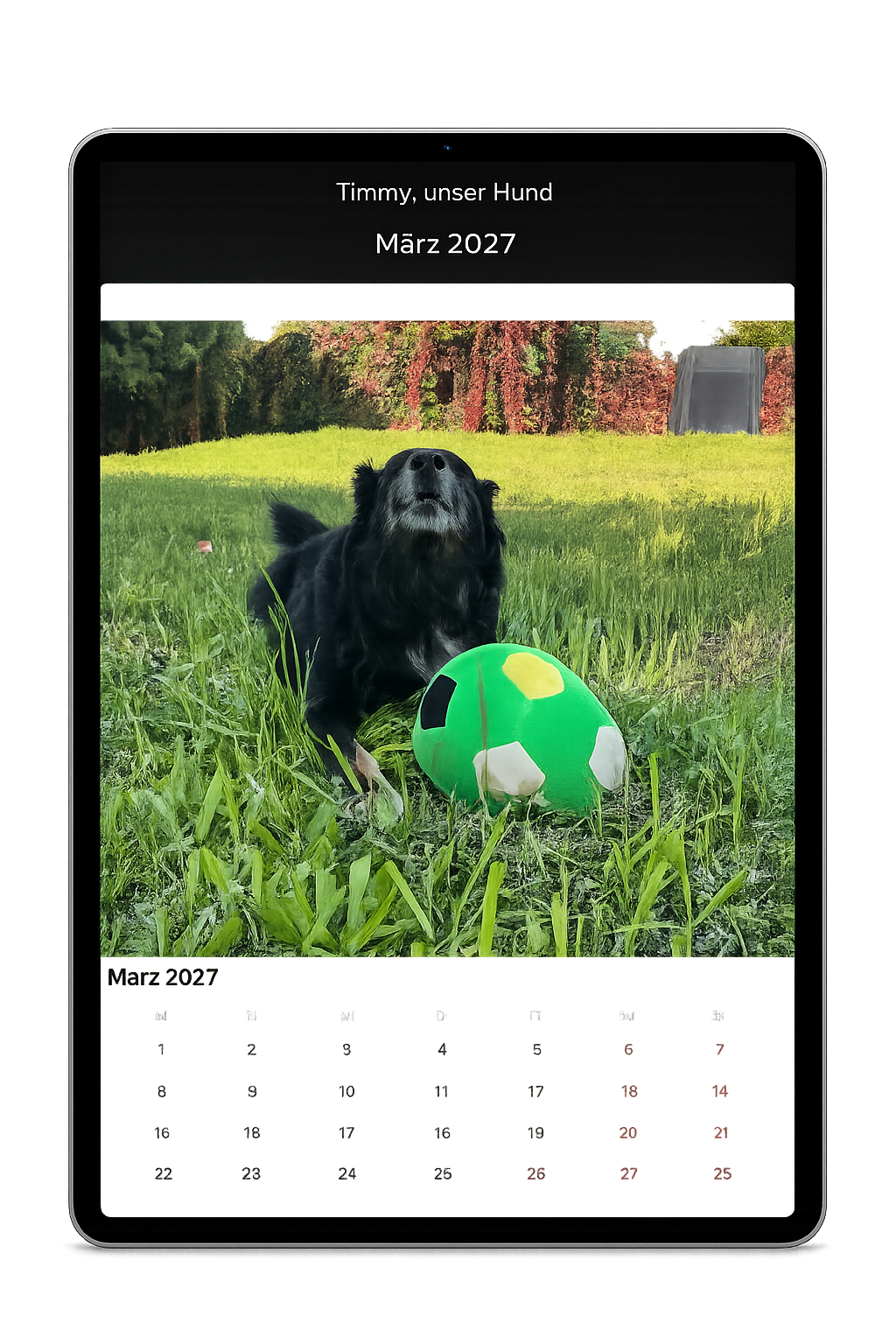 PhotoCal iPad – Kalendervorschau mit Monatsansicht